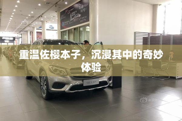 重温佐樱本子，沉浸其中的奇妙体验
