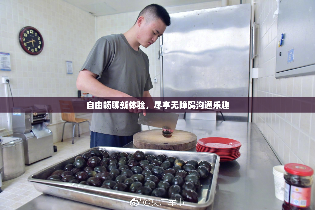 自由畅聊新体验，尽享无障碍沟通乐趣