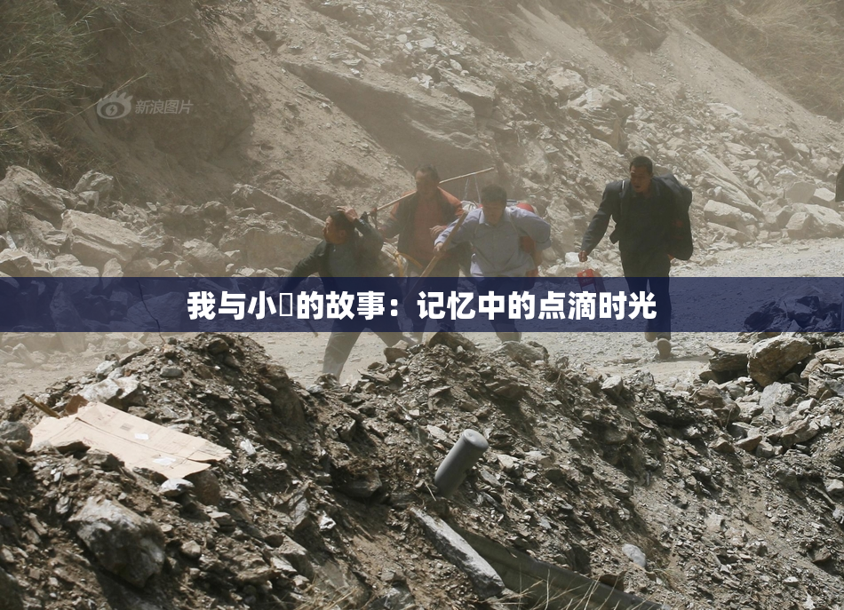 我与小娻的故事：记忆中的点滴时光