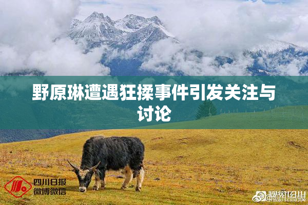 野原琳遭遇狂揉事件引发关注与讨论