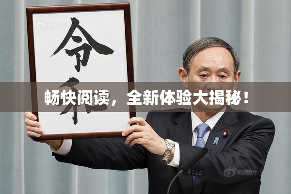 畅快阅读，全新体验大揭秘！