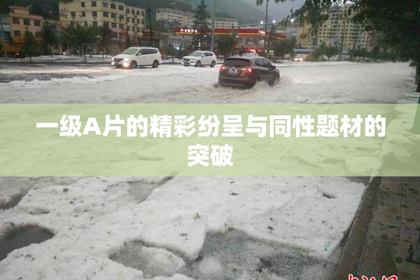 一级A片的精彩纷呈与同性题材的突破