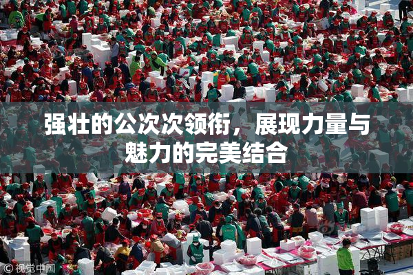 强壮的公次次领衔，展现力量与魅力的完美结合