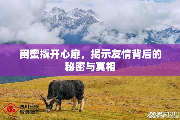 闺蜜撬开心扉，揭示友情背后的秘密与真相