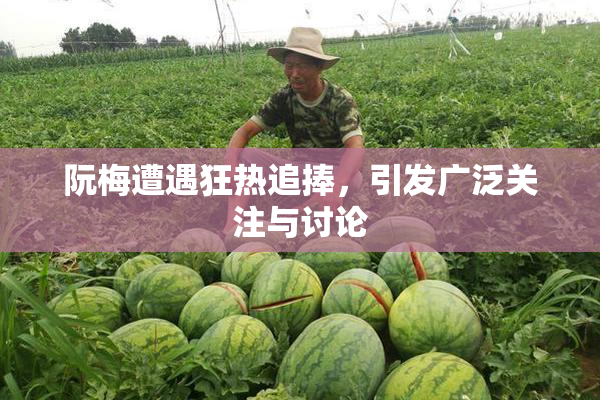 阮梅遭遇狂热追捧，引发广泛关注与讨论