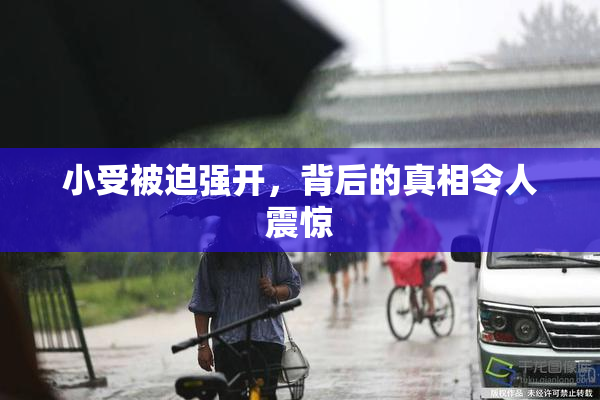 小受被迫强开，背后的真相令人震惊