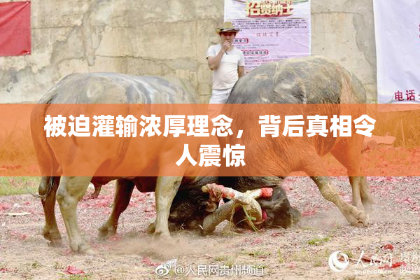 被迫灌输浓厚理念，背后真相令人震惊