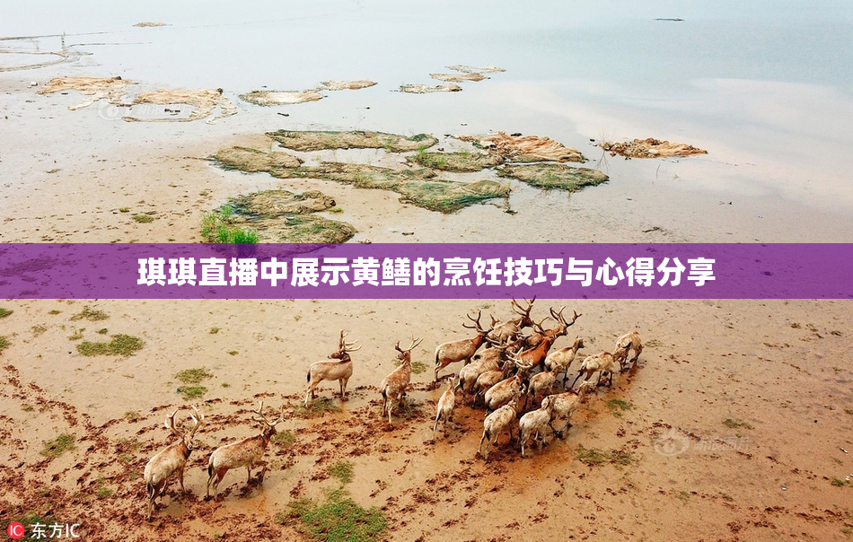 琪琪直播中展示黄鳝的烹饪技巧与心得分享