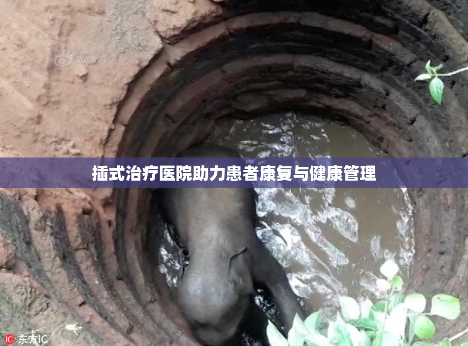 插式治疗医院助力患者康复与健康管理
