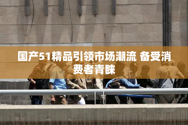国产51精品引领市场潮流 备受消费者青睐