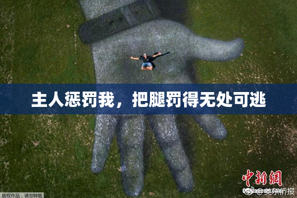 主人惩罚我，把腿罚得无处可逃