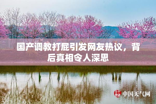 国产调教打屁引发网友热议，背后真相令人深思