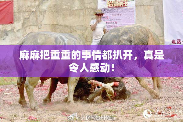 麻麻把重重的事情都扒开，真是令人感动！