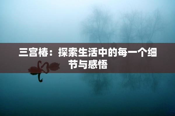 三宫椿：探索生活中的每一个细节与感悟
