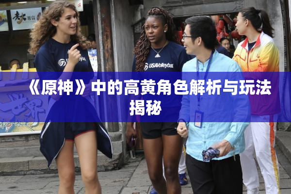 《原神》中的高黄角色解析与玩法揭秘