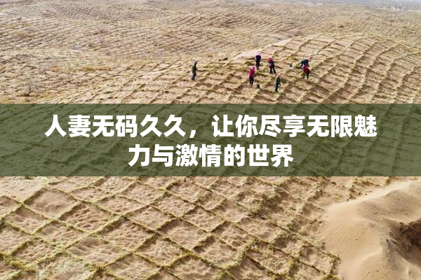 人妻无码久久，让你尽享无限魅力与激情的世界