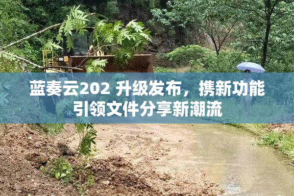蓝奏云202 升级发布，携新功能引领文件分享新潮流