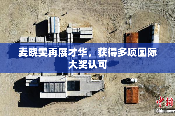 麦晓雯再展才华，获得多项国际大奖认可