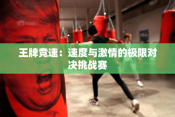 王牌竞速：速度与激情的极限对决挑战赛