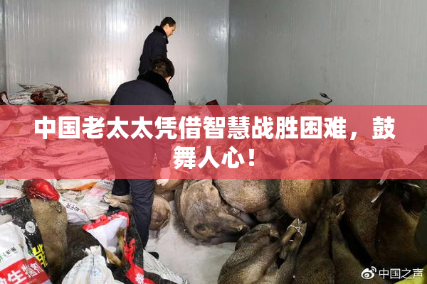 中国老太太凭借智慧战胜困难，鼓舞人心！