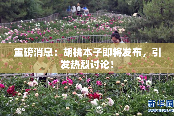 重磅消息：胡桃本子即将发布，引发热烈讨论！