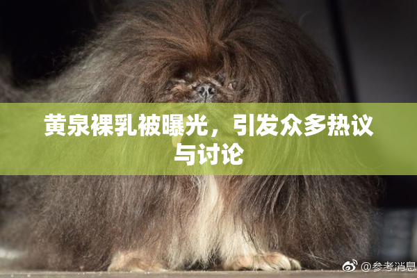 黄泉裸乳被曝光，引发众多热议与讨论