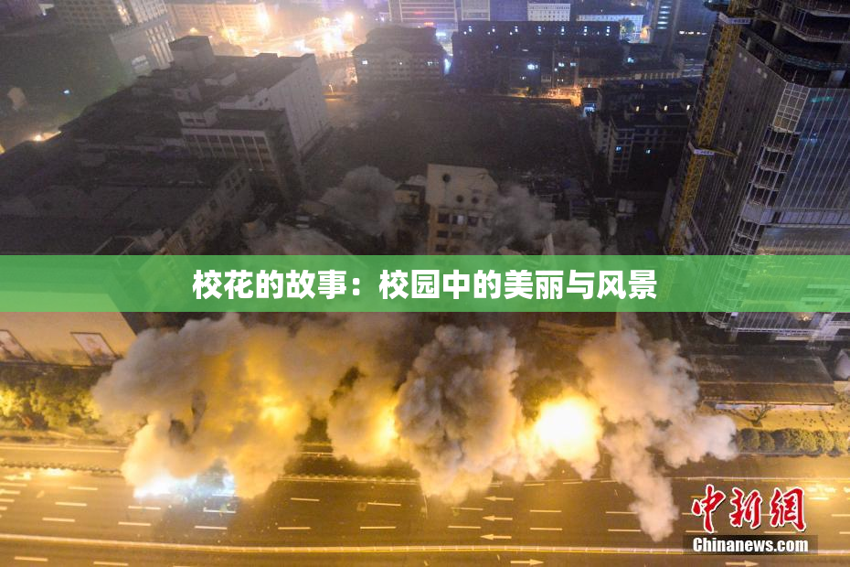 校花的故事：校园中的美丽与风景