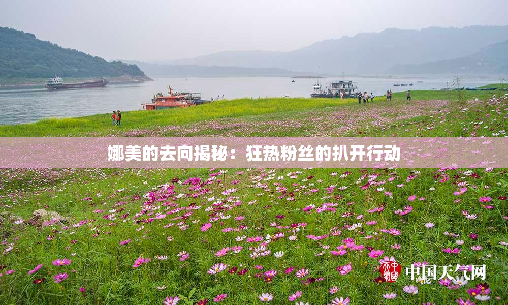 娜美的去向揭秘：狂热粉丝的扒开行动