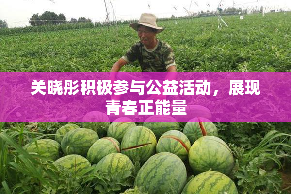 关晓彤积极参与公益活动，展现青春正能量