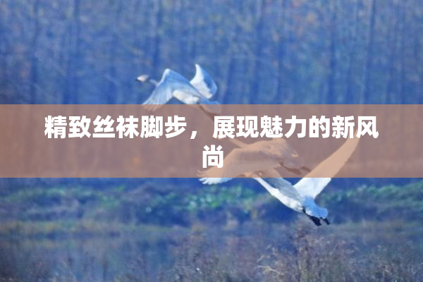 精致丝袜脚步，展现魅力的新风尚