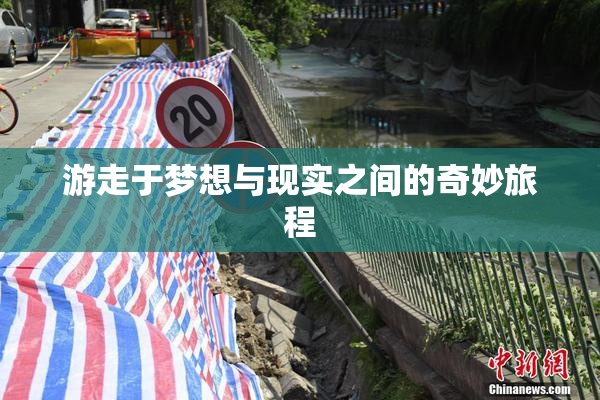 游走于梦想与现实之间的奇妙旅程