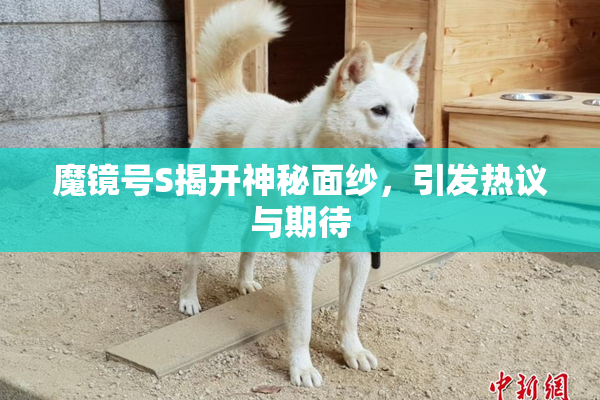 魔镜号S揭开神秘面纱，引发热议与期待