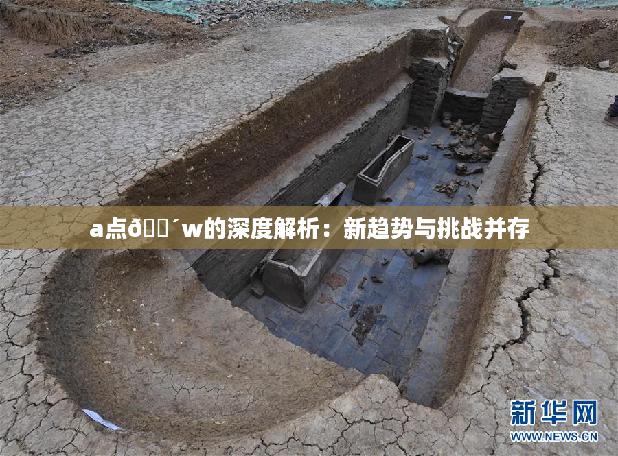 a点🔴w的深度解析：新趋势与挑战并存