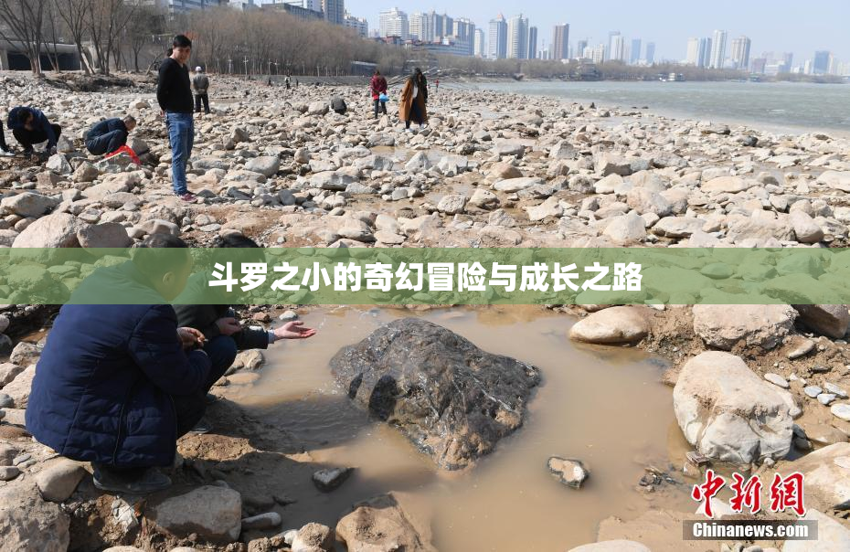 斗罗之小的奇幻冒险与成长之路