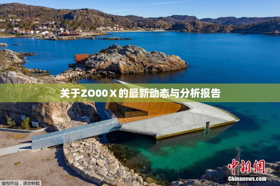 关于ZO00Ⅹ的最新动态与分析报告