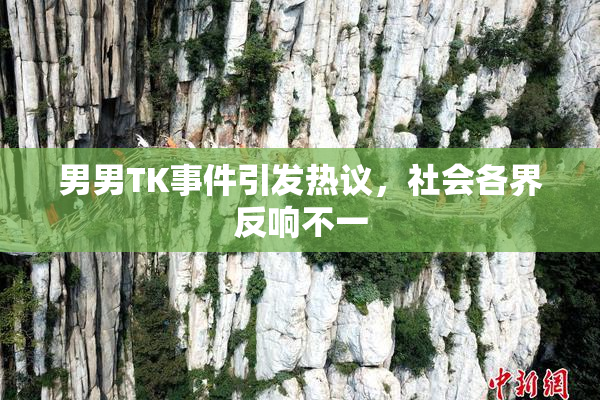 男男TK事件引发热议，社会各界反响不一