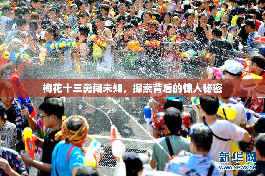 梅花十三勇闯未知，探索背后的惊人秘密