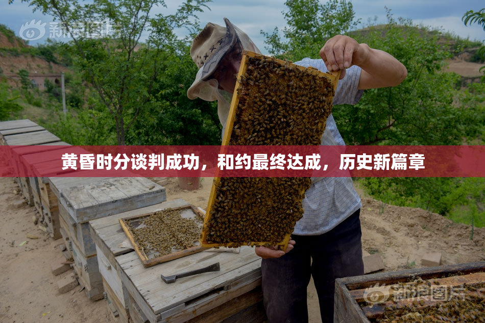 黄昏时分谈判成功，和约最终达成，历史新篇章