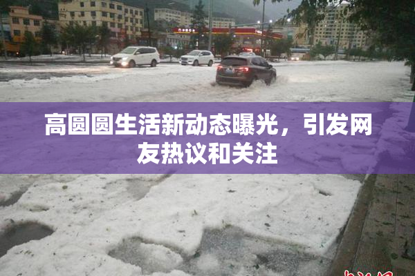 高圆圆生活新动态曝光，引发网友热议和关注