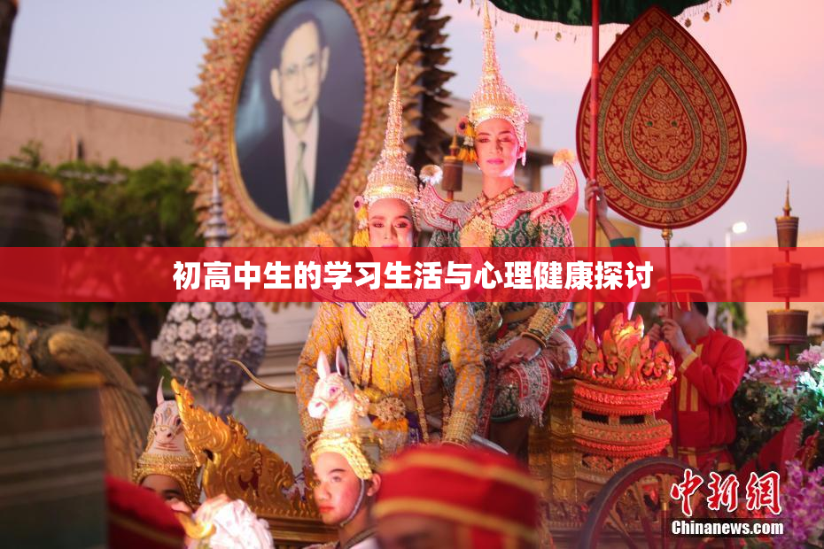 初高中生的学习生活与心理健康探讨