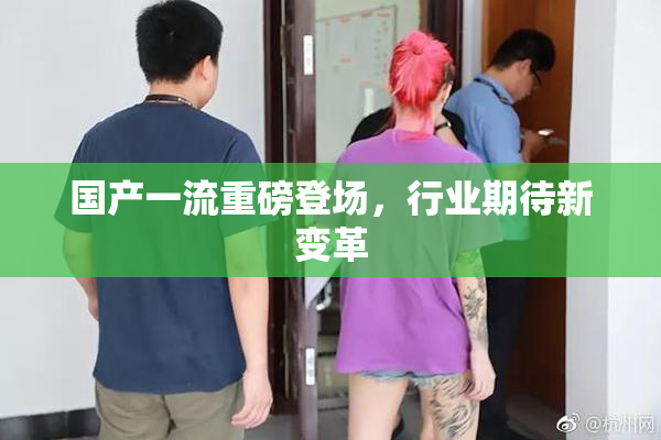 国产一流重磅登场，行业期待新变革