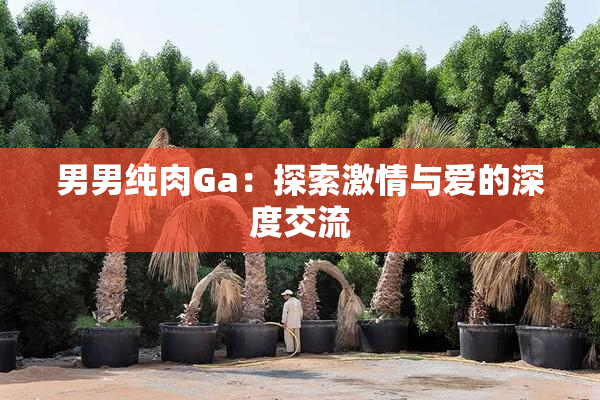 男男纯肉Ga：探索激情与爱的深度交流
