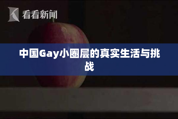 中国Gay小圈层的真实生活与挑战