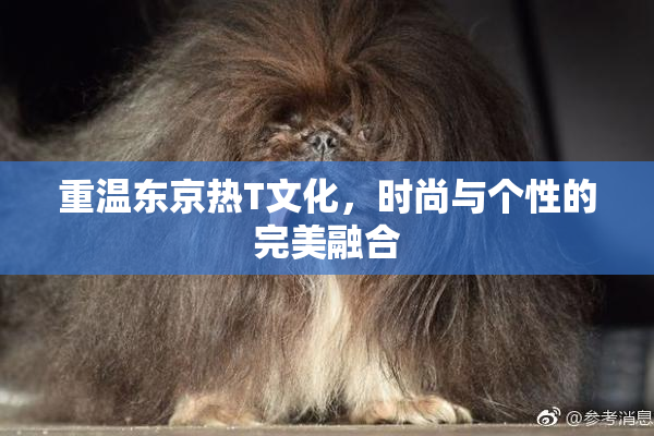 重温东京热T文化，时尚与个性的完美融合