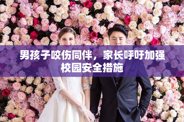 男孩子咬伤同伴，家长呼吁加强校园安全措施