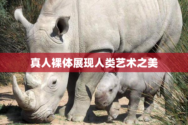 真人裸体展现人类艺术之美