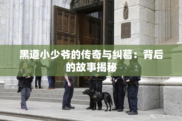 黑道小少爷的传奇与纠葛：背后的故事揭秘