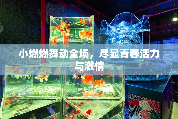小燃燃舞动全场，尽显青春活力与激情