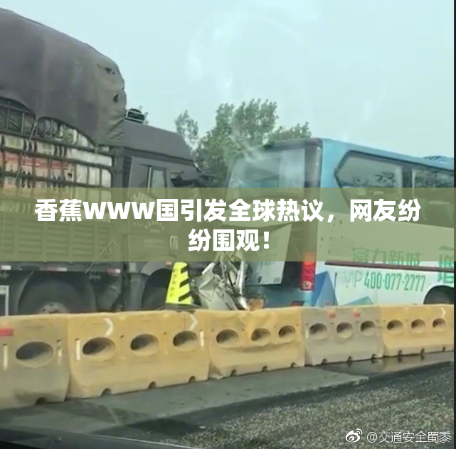 香蕉WWW国引发全球热议，网友纷纷围观！