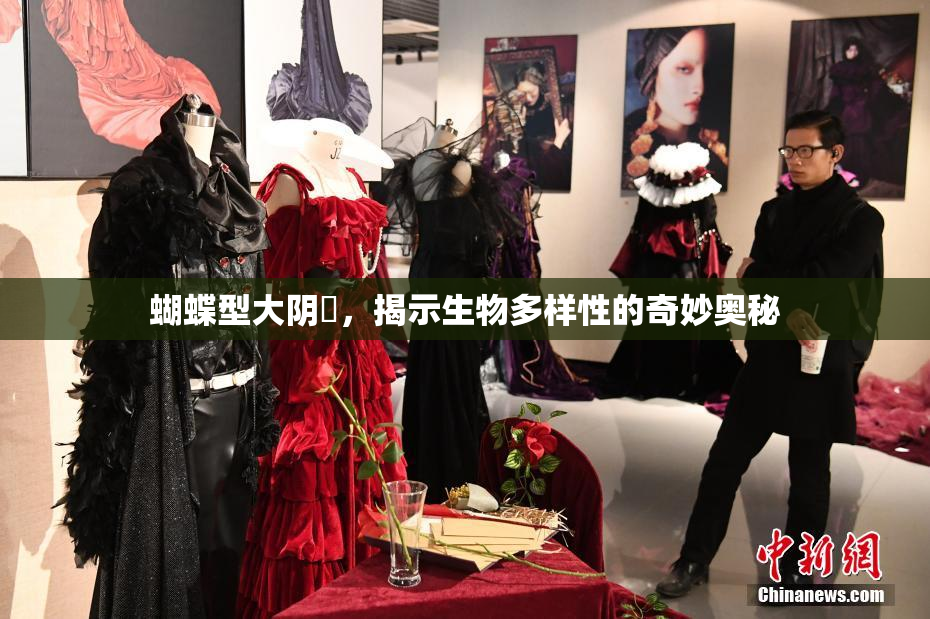 蝴蝶型大阴脣，揭示生物多样性的奇妙奥秘